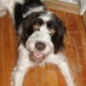 Meet your Posher, Lynnea